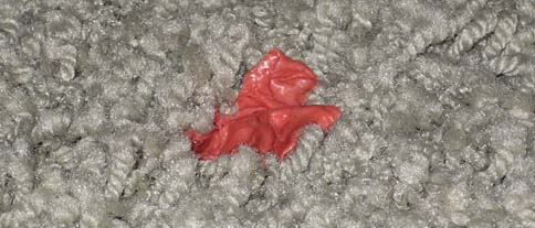 Chewing Gum On Carpet