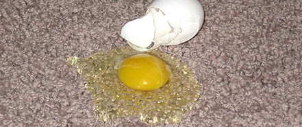 Spilled Egg