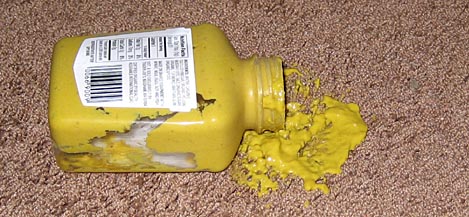 Mustard On Carpet